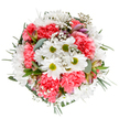 This vibrant Woodside Park bouquet is a celebration of nature's joy and the thoughtful craftsmanship of local florists. An overhead view reveals the interplay of classic white daisies, each with a welcoming green center, arranged among ruffled coral-pink carnations that lend warmth and cheerful depth to the design. Airy clouds of tiny gypsophila blossoms are woven seamlessly throughout, infusing the bouquet with a light, ethereal quality that captures the essence of spring around the neighbourhood's tree-lined streets. Hints of alstroemeria buds-streaked softly with purple and pink-peek out from a layered backdrop of fresh eucalyptus and lush, varied foliage, creating both visual intrigue and a sense of gentle arrival. The bouquet's round, balanced composition feels intentional and inviting, echoing the communal harmony and calm found in local gardens and avenues. Every detail, from the cool blue-green of the eucalyptus to the plush fullness of the carnations, reflects an expert's touch and a deep connection to the landscape of Woodside Park. Designed for moments of celebration-birthdays, anniversaries, or simply to uplift a friend-this arrangement is available for timely delivery with the distinctive artistry of Woodside Park florists. Its palette and textures invite reflection and delight, turning any room into a serene, joyful retreat.